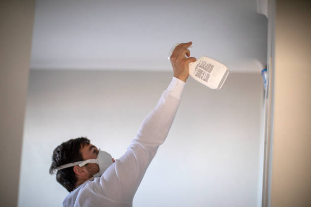 Attic Mold Removal in Oracle, AZ